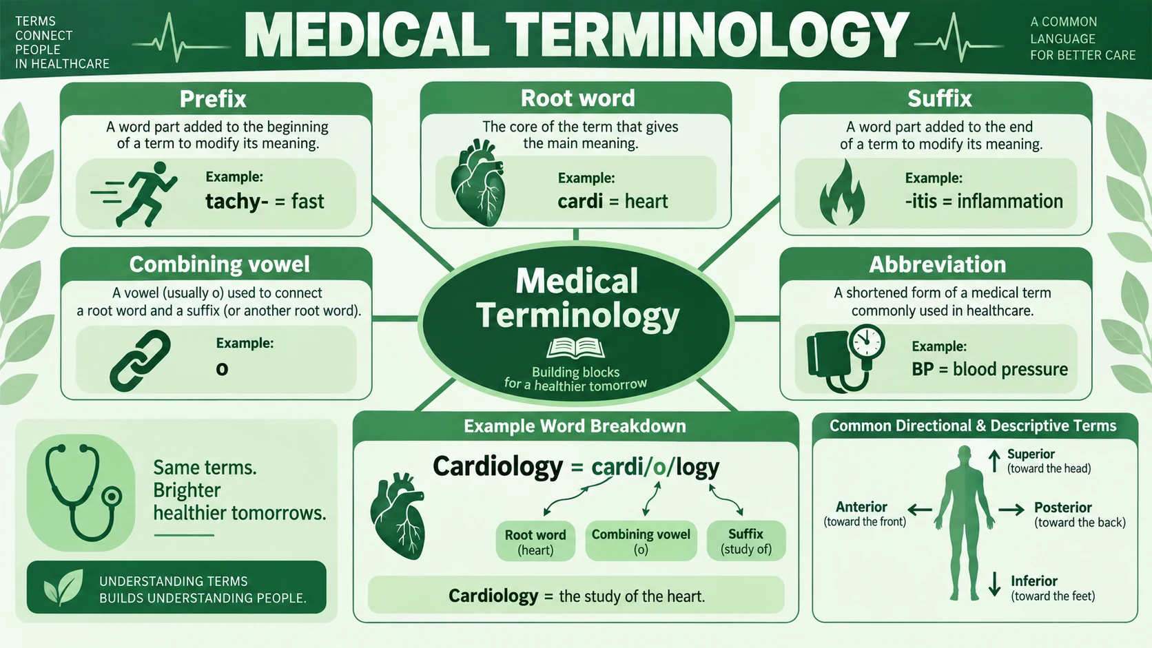 Medical Terminology subject visual