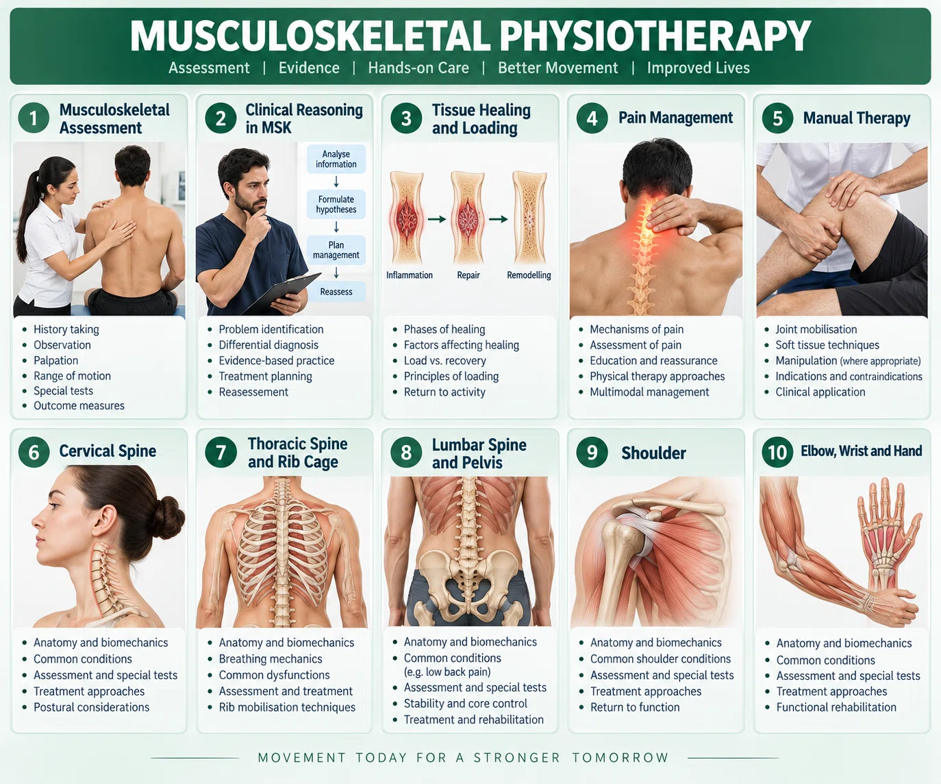 Musculoskeletal Physiotherapy subject visual